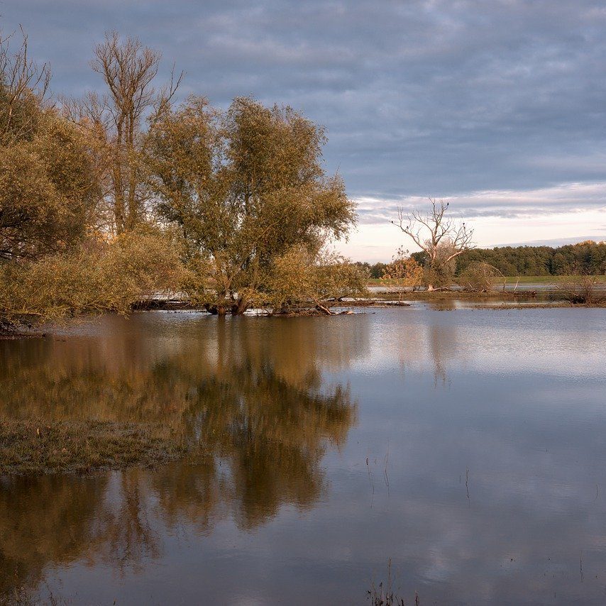 river, reflection, trees-5738150.jpg